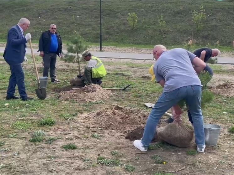 В Калуге обновили аллею сквера Волкова
