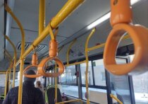 С апреля 2025 года жителям шести городов Алтайского края, проходящим гемодиализ в городе их проживания, предоставляется бесплатный проезд на общественном транспорте