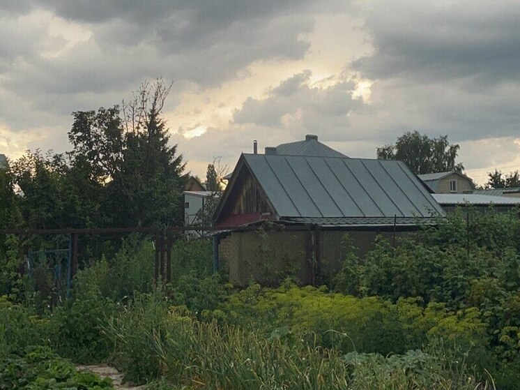 Как пензенцы готовятся к долгожданному дачному сезону