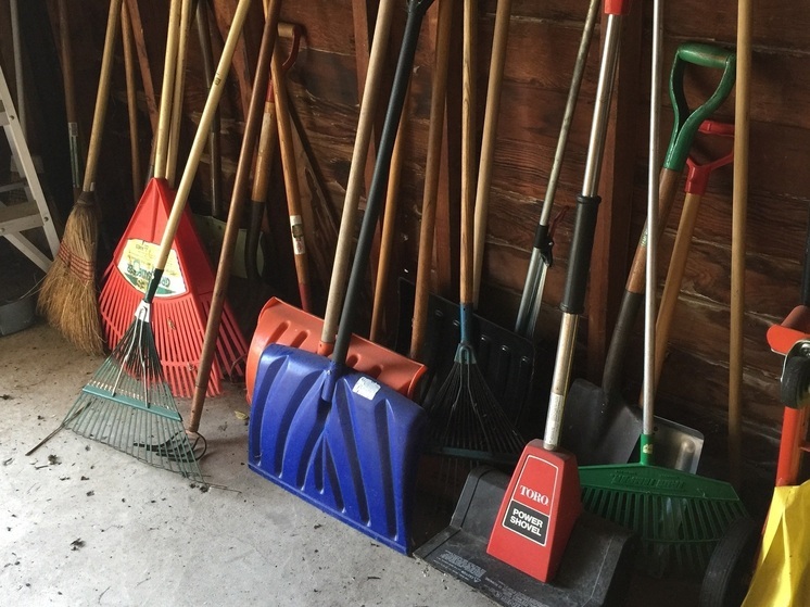 В Хабаровске из-за ухудшения погоды перенесли субботник