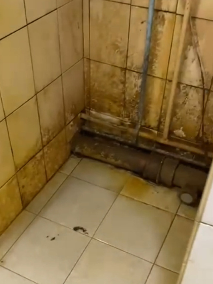 В плесени и грибке вынуждены мыться студенты хабаровского колледжа