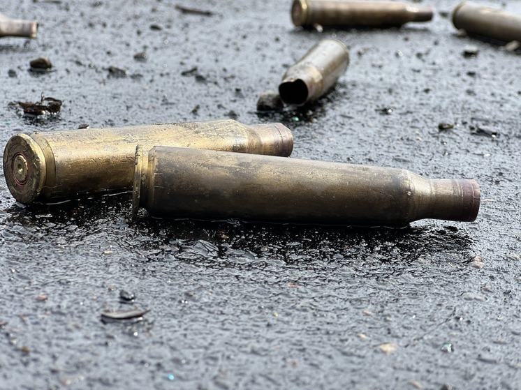 Боец рассказал о убийстве украинскими военными сдавшегося в плен боевика «Правого сектора» *