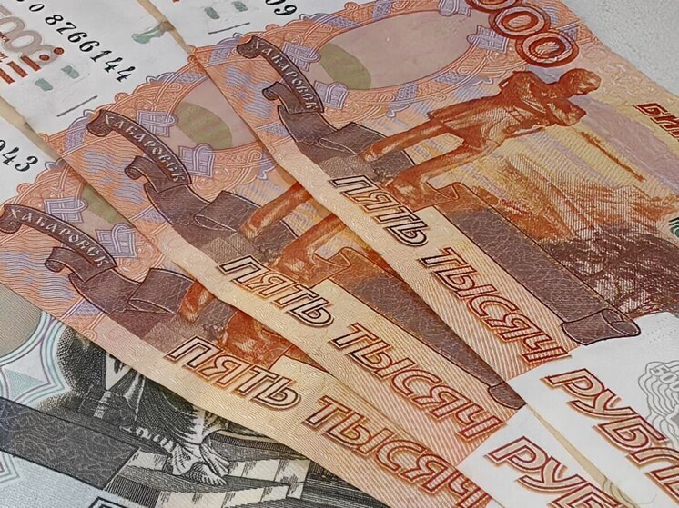 Заммэра Хабаровска оштрафовали за некачественную уборку наледи и снега