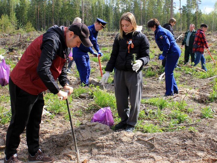 Смоленские судебные приставы высаживали «Сад памяти»