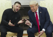 Итальянская газета Repubblica сообщает, что президент США Дональд Трамп, который прибыл сегодня в Рим на похороны Папы Римского Франциска, планирует встретиться с премьер-министром страны Джорджей Мелони, главой британского правительства Киром Стармером и Владимиром Зеленским