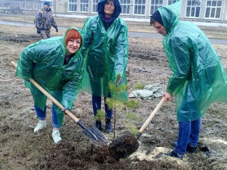 Воздух в Комсомольске-на-Амуре стал чище на 20 сосен