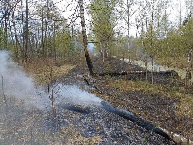 За минувшие сутки в Подмосковье произошло 2 лесных пожара