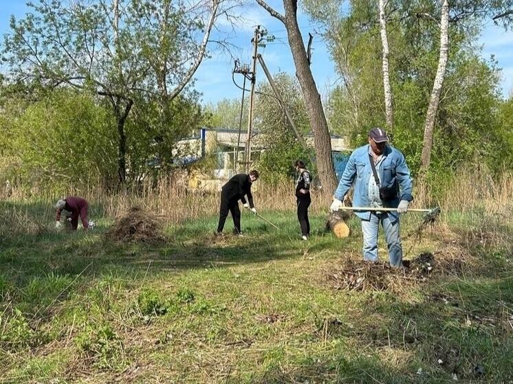 В Оренбурге чиновники регионального правительства наводят чистоту в Зауральной роще