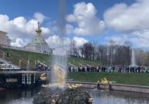 Сегодня в Петергофе официально стартовал сезон фонтанов, сообщает «МК в Питере»