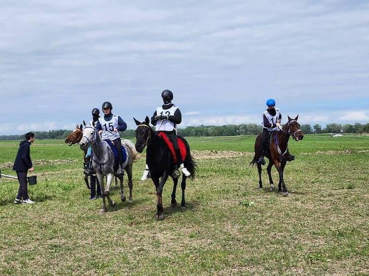 В Кабардино-Балкарии проходит Кубок России по конным пробегам