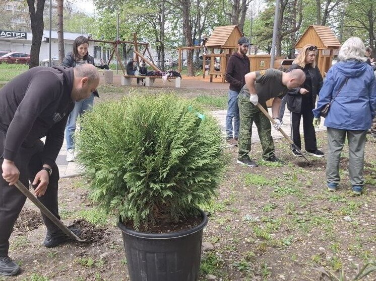 В Ессентуках озеленили новый сквер на улице Буачидзе