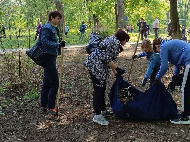 Более трехсот луганчан благоустроили сквер Алексеева в Луганске