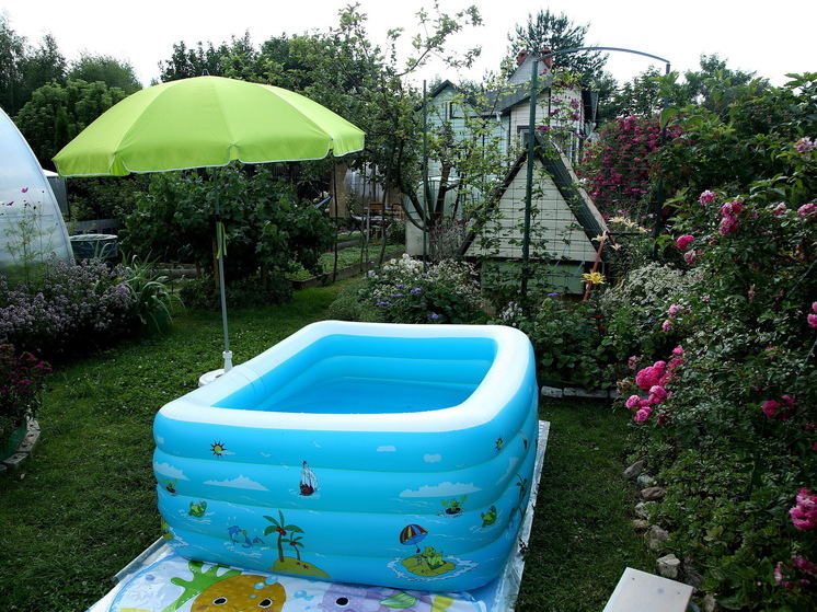 Москвичи начали арендовать дачи в Подмосковье