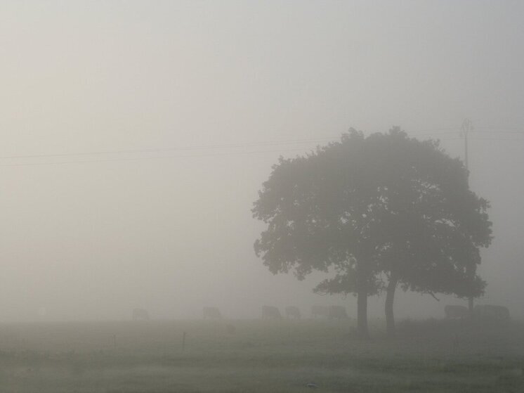 В Сочи ещё два дня ожидается непогода