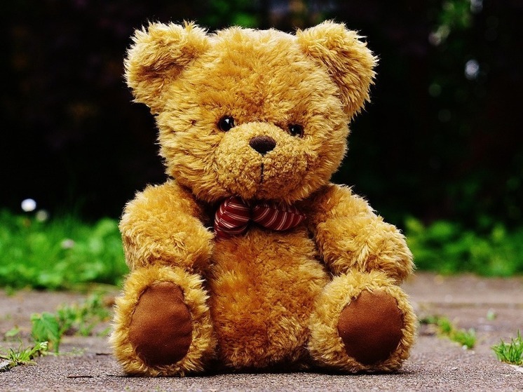 У калужан попросили плюшевых медведей для самолётов