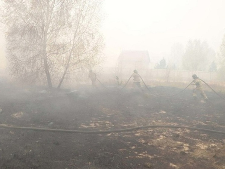 19 пожаров вспыхнуло за сутки в Курганской области