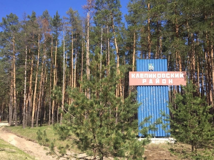На ремонт моста через Пру в Клепиковском районе выделили 482 млн рублей