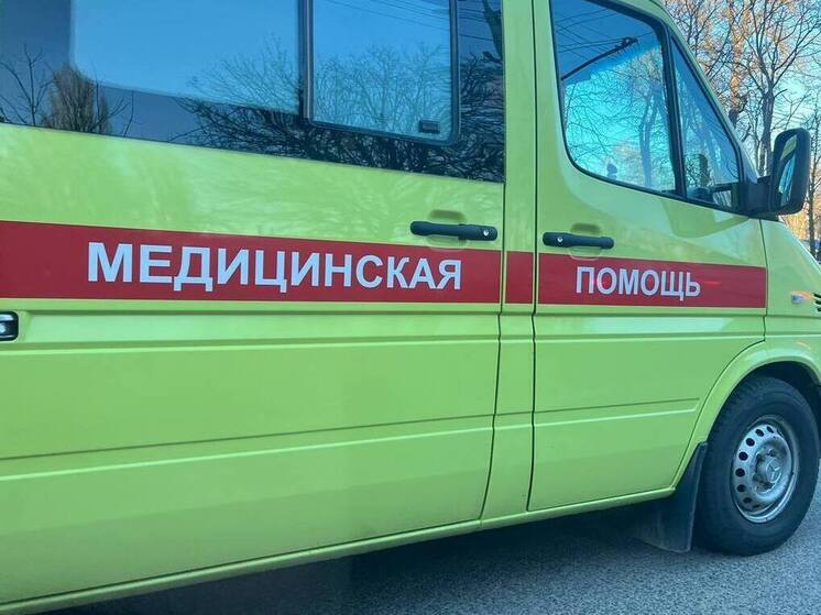 В Ставрополе домашняя собака напала на 10-летнего мальчика