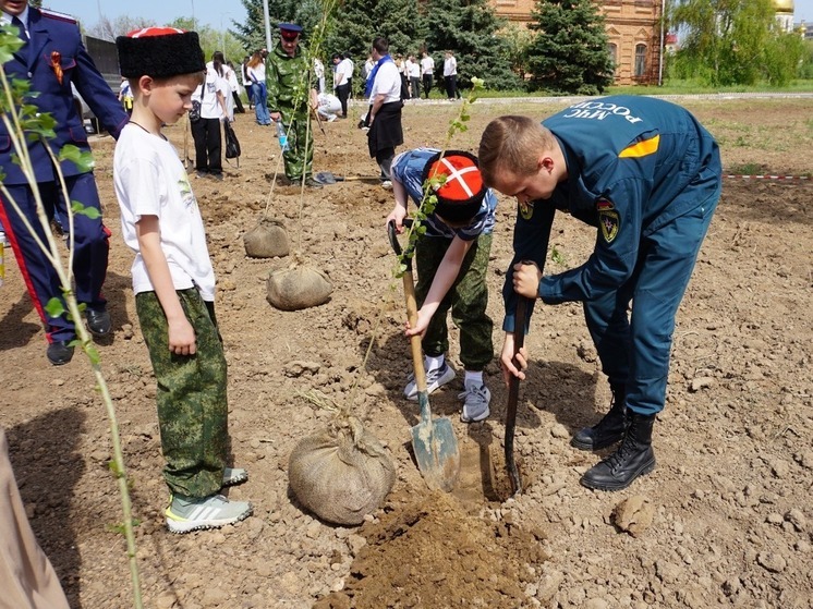 В парке Волжского Волгоградской области высадили Тополь Победы