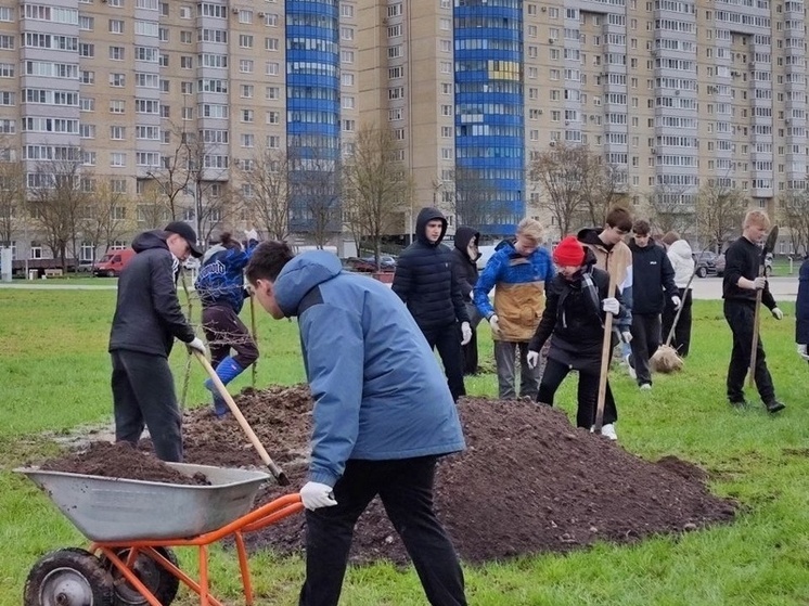 Киришские энергетики и школьники посадили молодые дубы