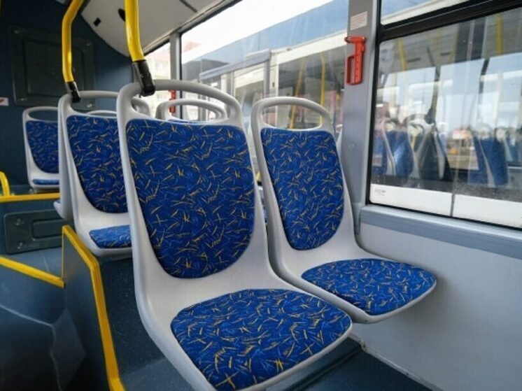 В Волжском кондуктор и водитель автобуса подверглись нападению хулиганов