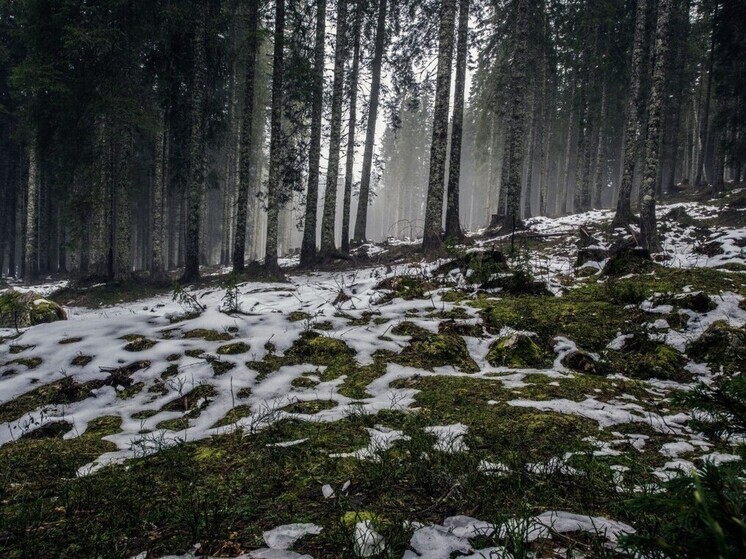 Калужские синоптики на Красную горку обещают дождь и снег