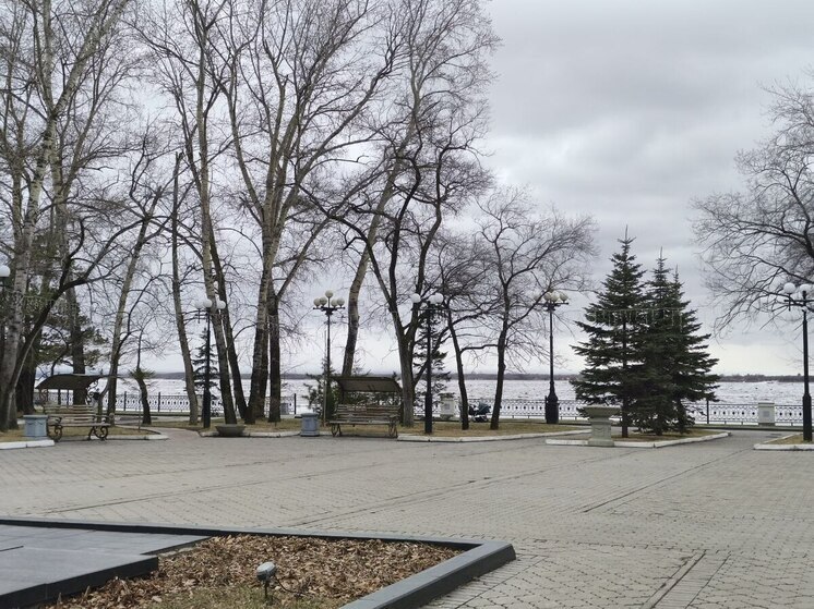 В Хабаровске 27 апреля температура от +5 до +7 градусов