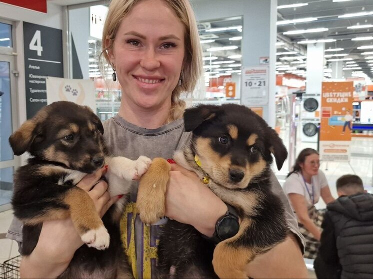 50 бездомных хвостиков нашли новых хозяев во Владивостоке