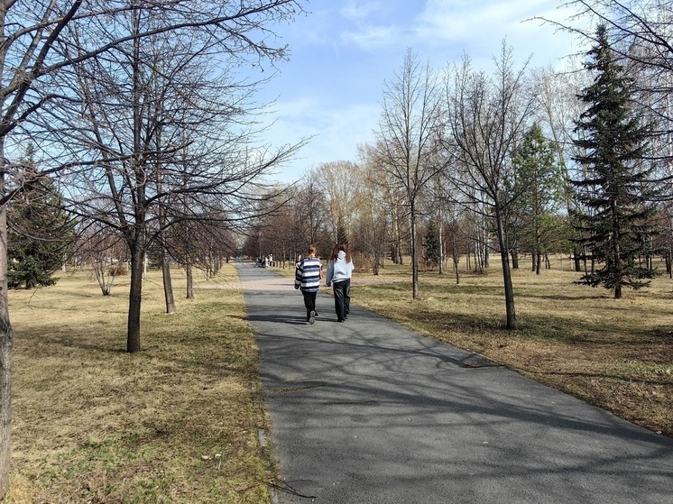 В Хакасию придут сильный ветер и жара до +20 градусов