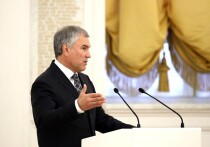 Председатель Госдумы Вячеслав Володин напомнил в своем телеграм-канале о том, какие новые законы вступят в силу с 1 мая 2025 года