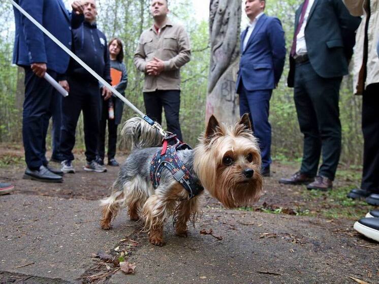 В Уфе планируют благоустроить дендрапарк