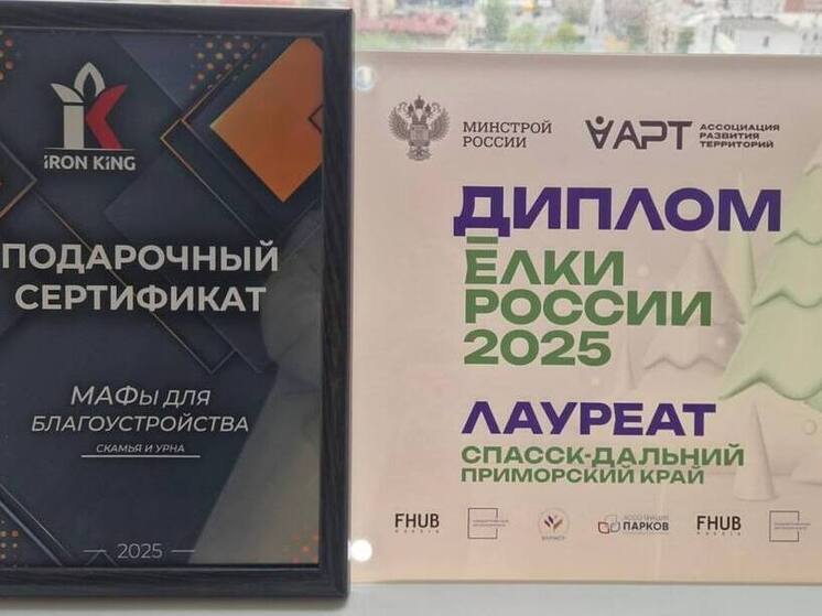 Приморье попало в призеры на конкурсе «Ёлки России»