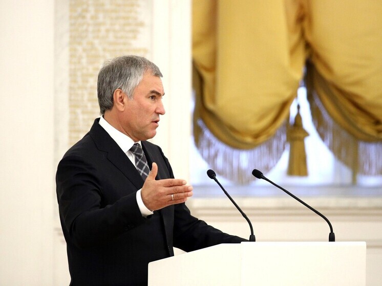 Володин напомнил о вступающих в силу с мая законах