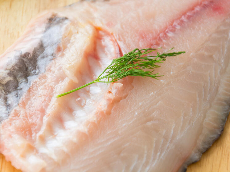 Рыба, которая продлевает жизнь: топ-10 от врачей - включите в рацион обязательно