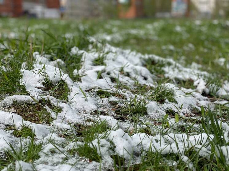 Арктический удар: главный синоптик России прогнозирует аномальное похолодание в начале мая