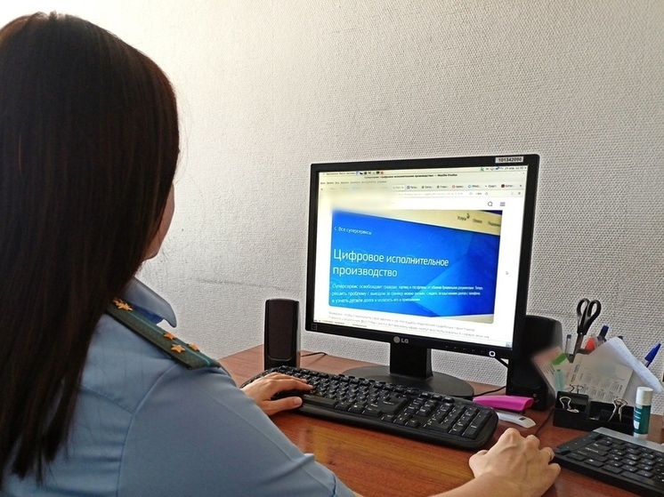 Жители Чувашии могут подать исполнительные документы онлайн