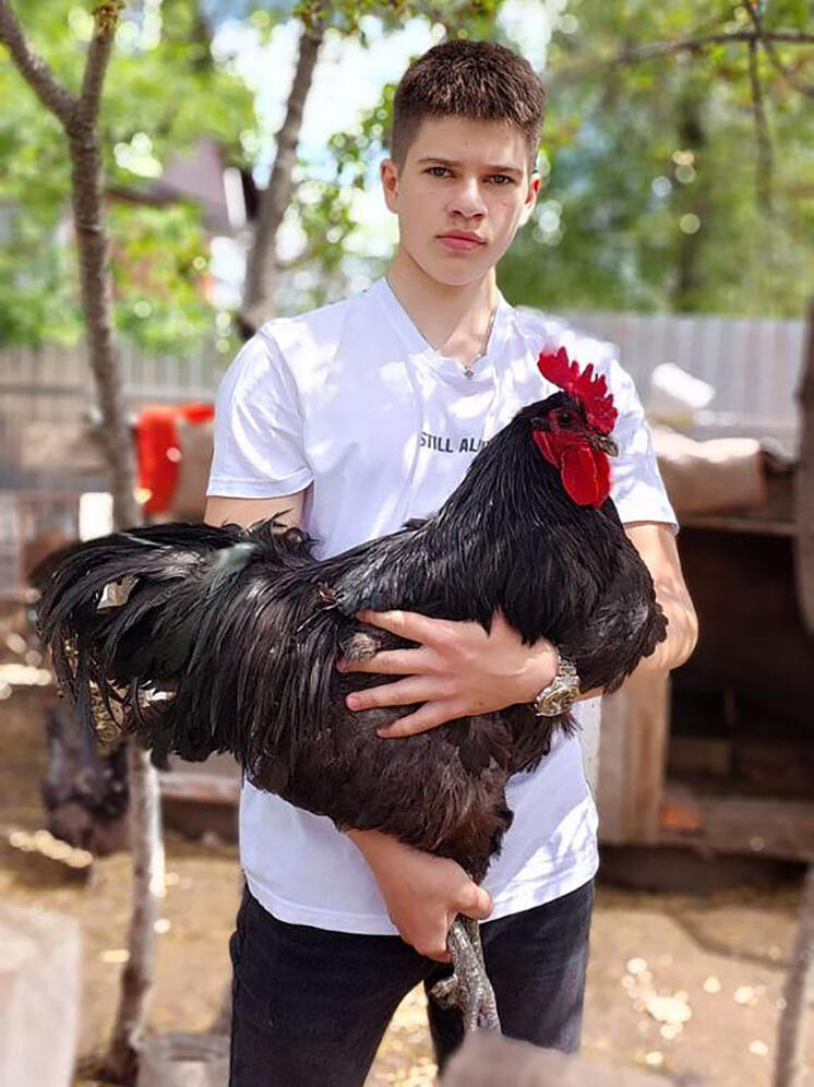 Ставропольский школьник разводит кур редких пород