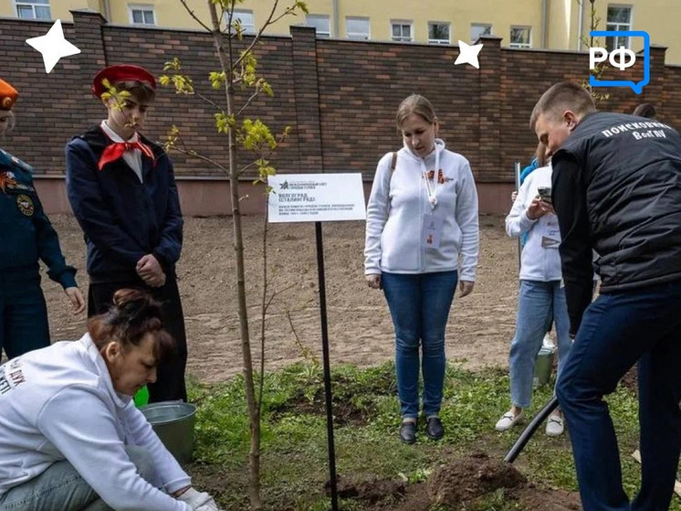 В центре Смоленска появилась Аллея Памяти