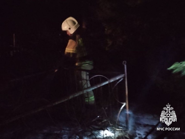 В районе Тувы на кладбище после похорон  произошел пожар