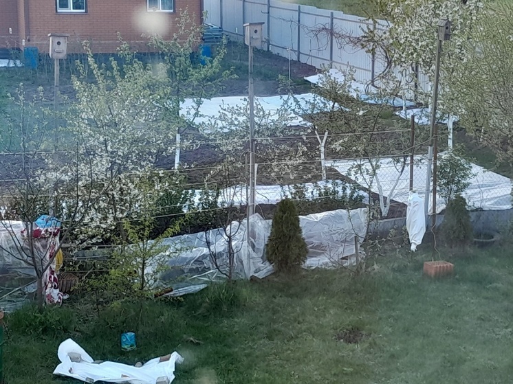 Калужане пытаются спасти сады и огороды