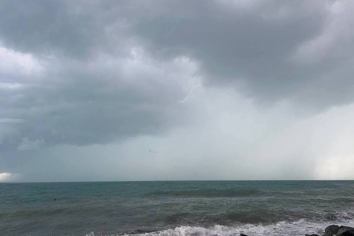 Фото: Екатерина Царёва