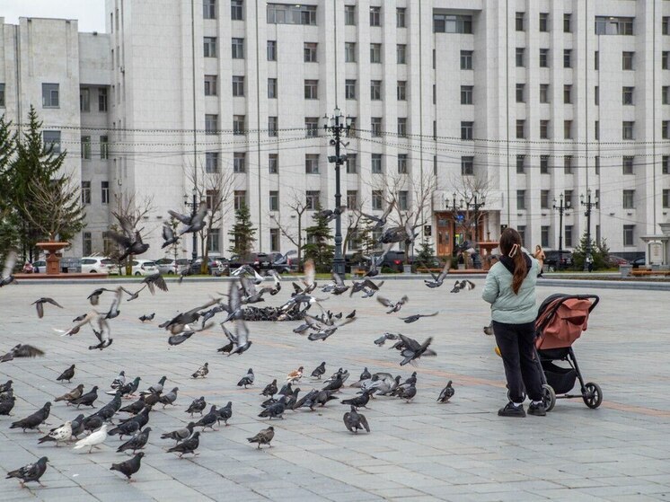 В Хабаровске 28 апреля сохранится похолодание