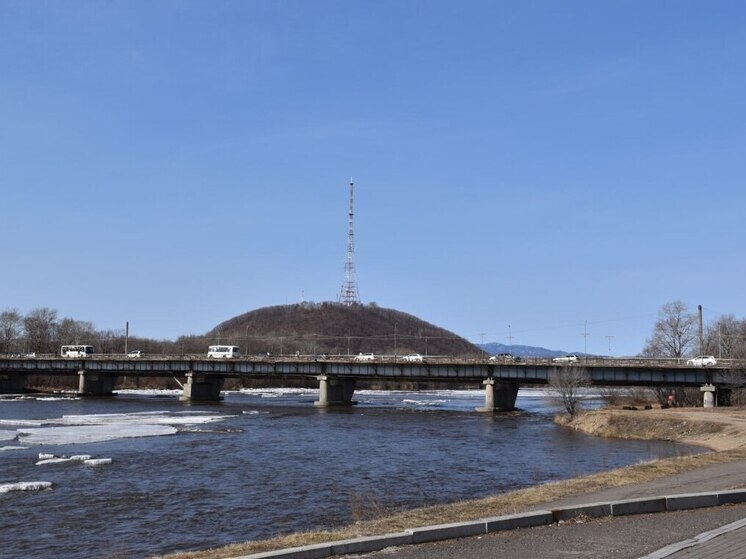 Через реку Бира в Биробиджане возведут временный мост