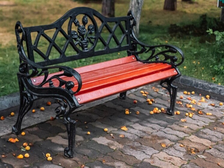 В Хабаровске сквер на улице Калараша лидирует в голосовании по благоустройству