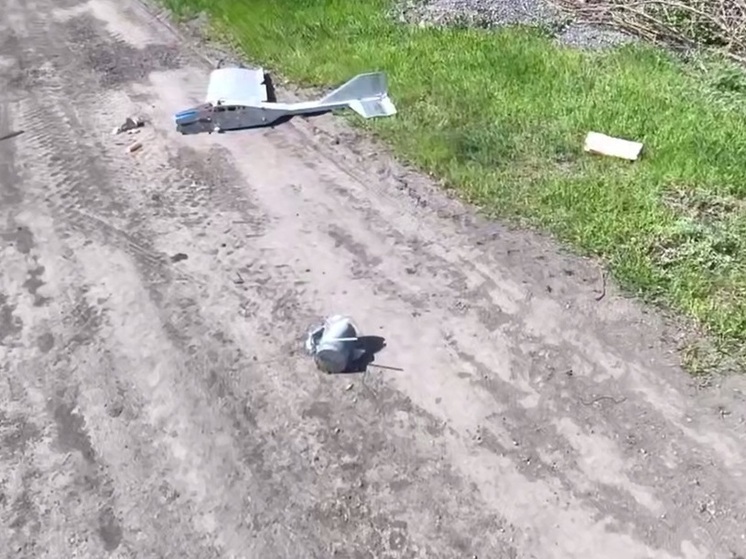 «Купол Донбасса» сорвал 258 террористических атак дронов ВСУ