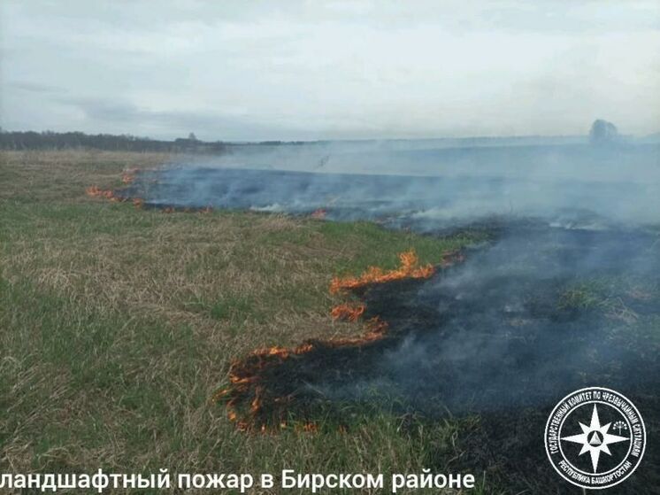 За сутки в Башкирии произошло три возгорания сухой травы
