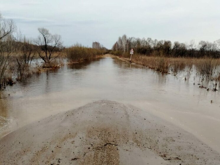 В Амурской области восстановили движение на автодороге «Заречное – Могилевка – Грибовка»