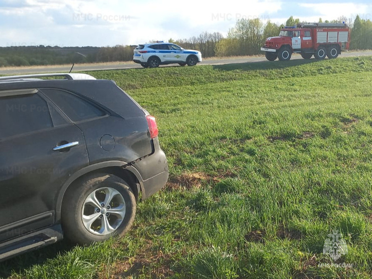 В ДТП с Kia Sorento в Ферзиковском районе есть пострадавшие