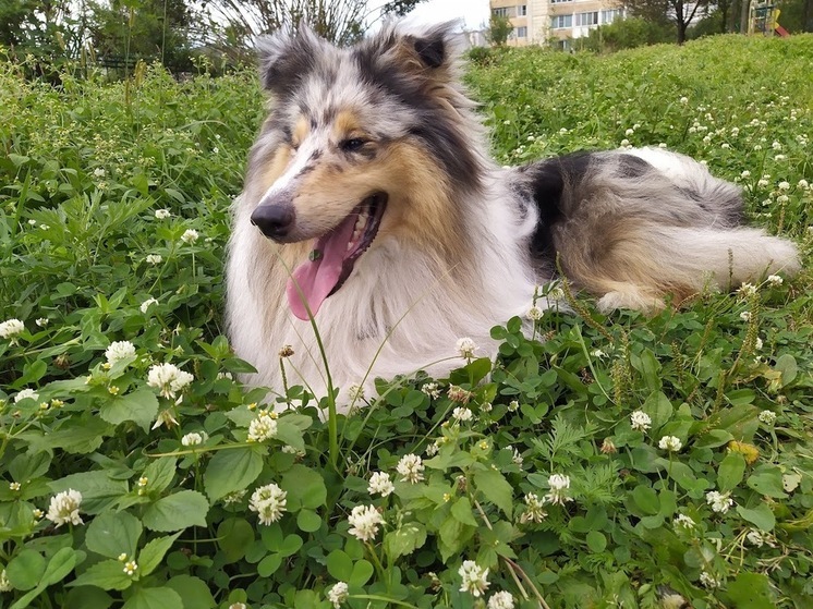 Жителей Приморья ждут две трехдневные рабочие недели в мае из-за праздничных выходных