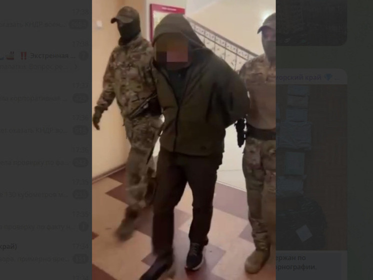 Жителя Владивостока задержали по подозрению в распространении детской порнографии